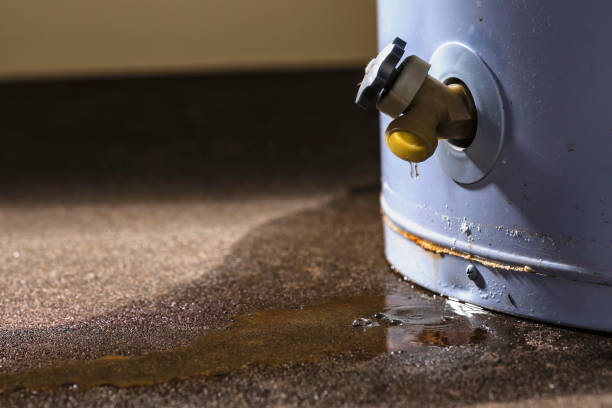 Best Local water damage restoration  in Leonardo, NJ