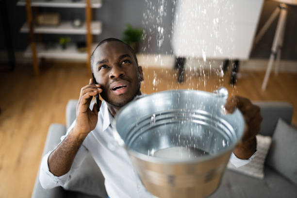 Best Ceiling water damage repair  in Leonardo, NJ