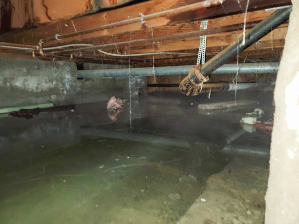Best Flood damage cleanup  in Leonardo, NJ