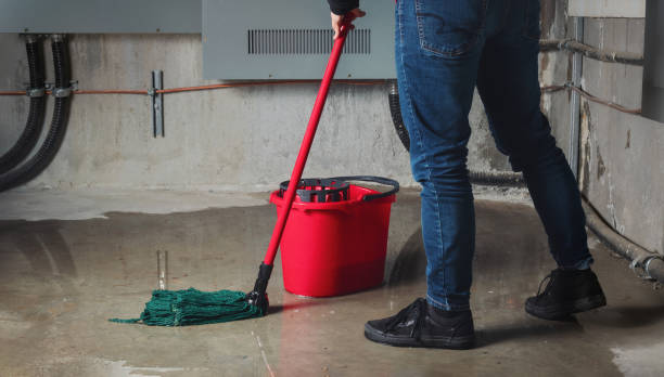 Reliable Leonardo, NJ Water damage restoration Solutions