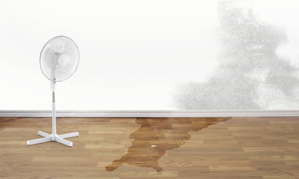 Best Carpet water damage restoration  in Leonardo, NJ