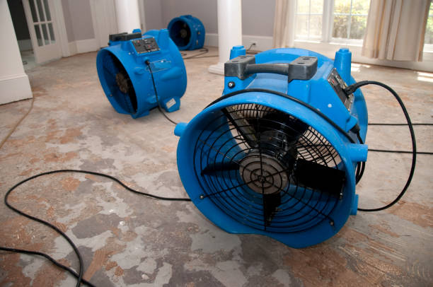 Carpet water damage restoration in Leonardo, NJ