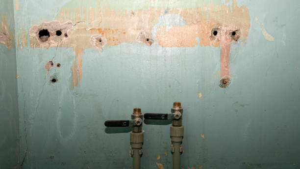 Best Local water damage restoration  in Leonardo, NJ