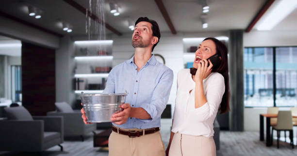 Best Carpet water damage restoration  in Leonardo, NJ