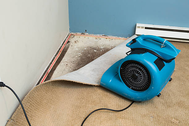 Best Commercial water damage restoration  in Leonardo, NJ